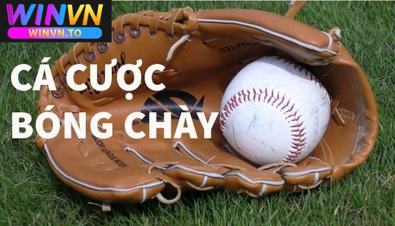 Các loại kèo trong cá cược bóng chày